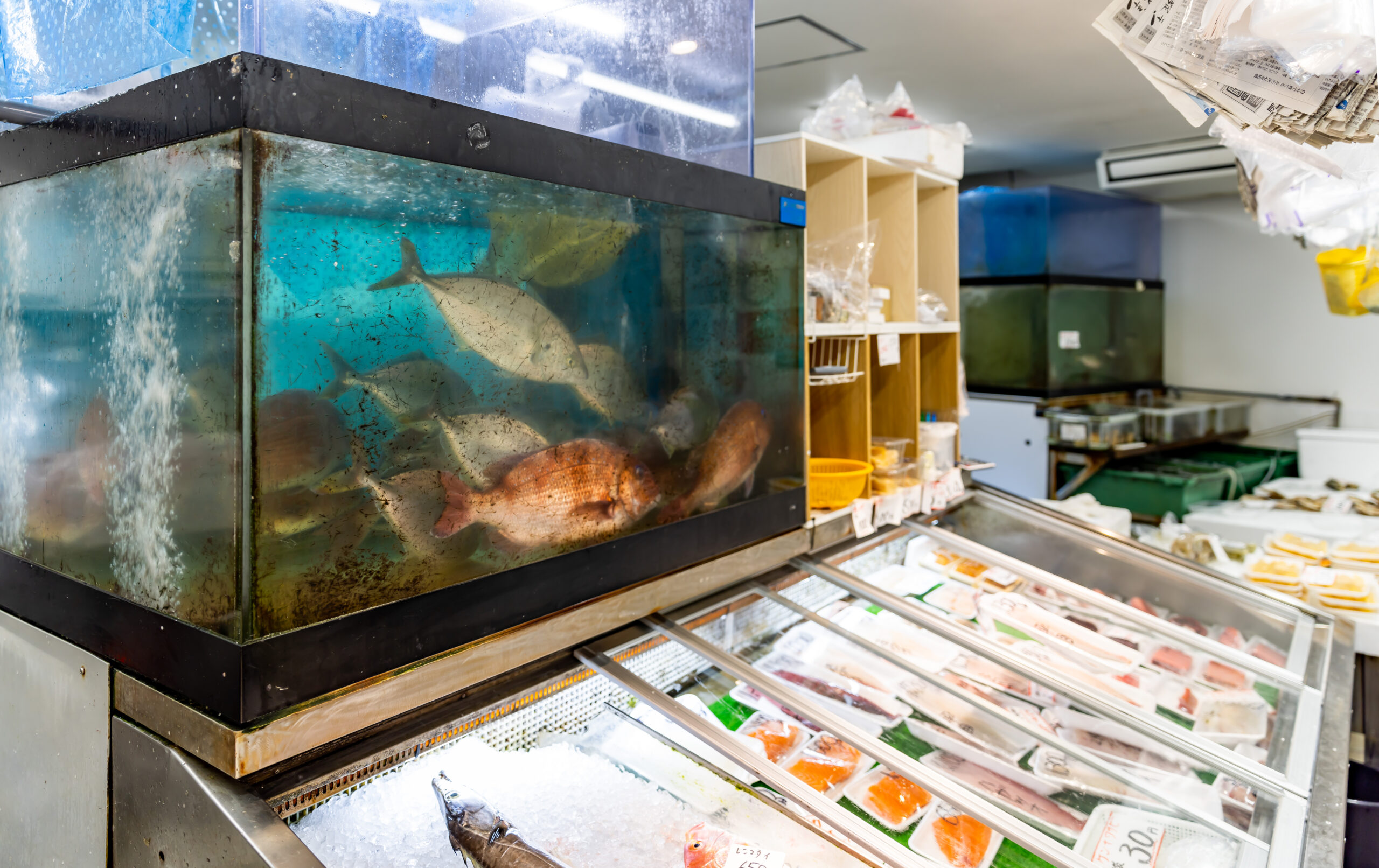 魚屋 （有)橋本水産 | 熊手銀天街 北九州市 黒崎